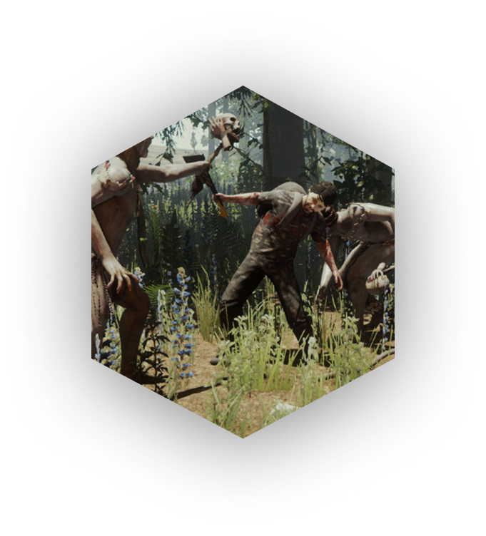 Illustration of the forest